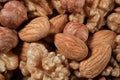 Background from a mixture of nuts of almonds, hazelnuts and walnuts. Close-up. Top view. Space for lettering and design Royalty Free Stock Photo
