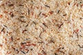The background is from a mixture of wild, brown, red, white rice. Different varieties of rice Royalty Free Stock Photo
