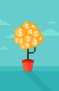 Background of money tree with dollar coins. Royalty Free Stock Photo