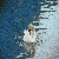 Background-mosaic-white-Swan-on-water