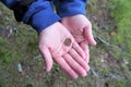 Aerial view of open hands cradling American penny coin