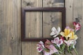 Background from multi-colored flowers in frame on wooden table. multicolored alstroemeria, pink, yellow, magenta, white and red