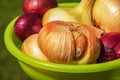 Background of multi-colored onions. Selective focus of fresh onion. The concept of organic food Royalty Free Stock Photo