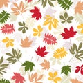 Background with multicolor autumn leaves. Vector illustration