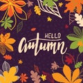 Background with multicolor autumn leaves. Vector illustration.