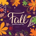 Background with multicolor autumn leaves. Vector illustration.