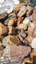 background of multicolored jasper stones