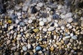 Background of multicolored sea pebbles on the beach in sea foam. Small color wet stones gravel texture background Royalty Free Stock Photo