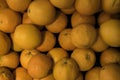 Background of multiple oranges