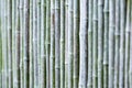 Background with natural bamboo pattern Royalty Free Stock Photo