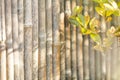 Background with natural bamboo pattern Royalty Free Stock Photo