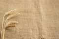 Background of natural burlap with wheat ears in left part