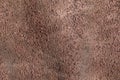 Background of natural cinnamon suede. Crafted hide and leather are used for tailoring fashionable comfortable outerwear, shoes and