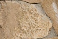 Background of natural coarse stone removed by sunny day frontal Royalty Free Stock Photo