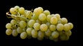 background of natural grape green