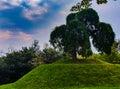 Background, natural landscape that portrays a tree planted on a small artificial hill.