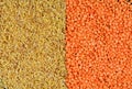 Background natural organic cereals: lentils and bulgur as a set for a healthy food Royalty Free Stock Photo