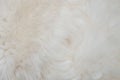 Background. Natural sheep coat, white wool. Use as background or texture. Royalty Free Stock Photo