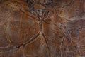 The background of the natural stone is orange marble with interesting dark veins called Bidasar Brown