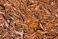 Background of natural wood shavings Royalty Free Stock Photo