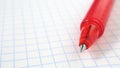 Background about new school year with place for text. Red pen and grid copybook sheet closeup. White backdrop for September 1 with