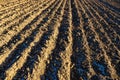 Newly plowed field ready for new crops