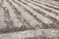 The Background of newly plowed field ready for new crops