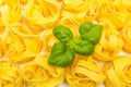 Pasta nests with basil background
