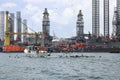 A fishing boat is besieged by seagulls and pelicans in Galveston Harbor on the Texan Gulf Coast.