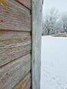 Background with old barn wood with snow. Royalty Free Stock Photo