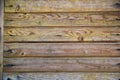 Background of old boards yellow and purple with knots hammered nails