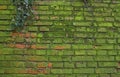 Background of old brick wall covered with moss Royalty Free Stock Photo