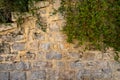 background of an old brick wall with ivy under the steps to the entrance to the house Royalty Free Stock Photo