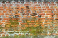 Background,old brick wall with moss