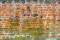 Background,old brick wall with moss Royalty Free Stock Photo