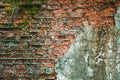 Background old brick wall overgrown with moss Royalty Free Stock Photo