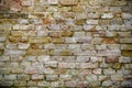 The background is an old brick wall. The wall is made of red ceramic bricks Royalty Free Stock Photo