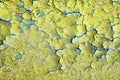 Background - old dirty wall with peeling paint Royalty Free Stock Photo