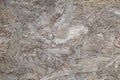Background, old gray rough fiberboard, plywood, close-up, uniform texture Royalty Free Stock Photo