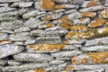 The background old gray stony wall with yellow moss Royalty Free Stock Photo