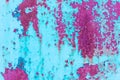 Background, old metal wall close-up. Turquoise pink Royalty Free Stock Photo