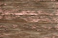 Old painted planks background