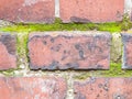 Background old red brick wall texture with green moss Royalty Free Stock Photo