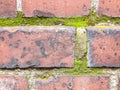 Background old red brick wall texture with green moss Royalty Free Stock Photo