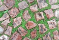 Background of old red cobblestone pavement wet after the rain with bright green grass in the seams. Royalty Free Stock Photo