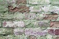 Background of an old vintage dirty brick wall with peeling plaster and green moss. Grunge background of a wall of bricks Royalty Free Stock Photo