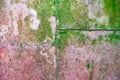 Background old wall plates with pink marble texture is covered green mold and moss. Royalty Free Stock Photo