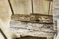 Background with old wood with knur. Royalty Free Stock Photo