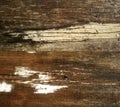Background from old wooden boards with drops of water, rotten wood damaged from time to time Royalty Free Stock Photo