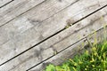 The background of the old wooden floor planks and green grass Royalty Free Stock Photo